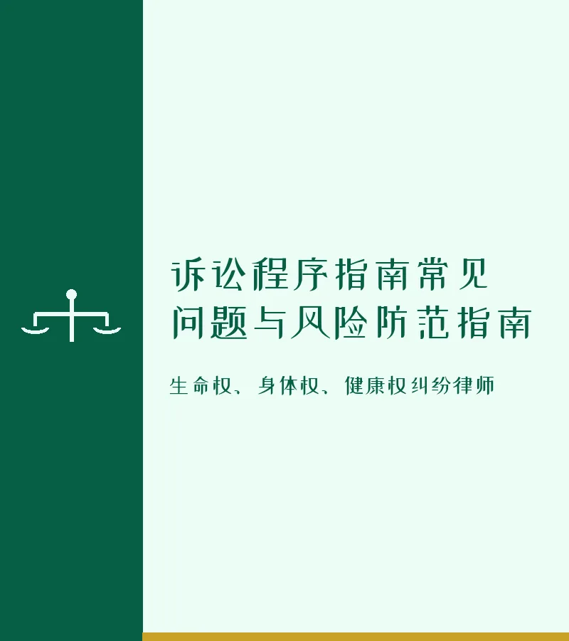 诉讼程序指南常见问题与风险防范指南